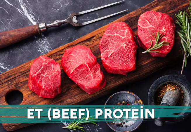 Et Protein Tozu Nedir ve Nasıl Kullanılır?